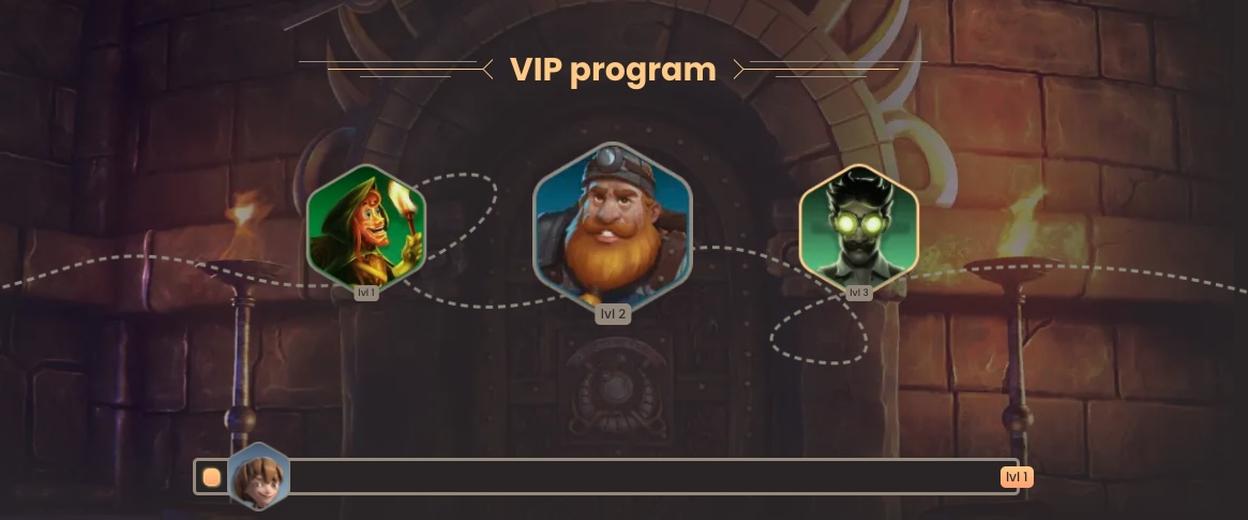 Vip Program